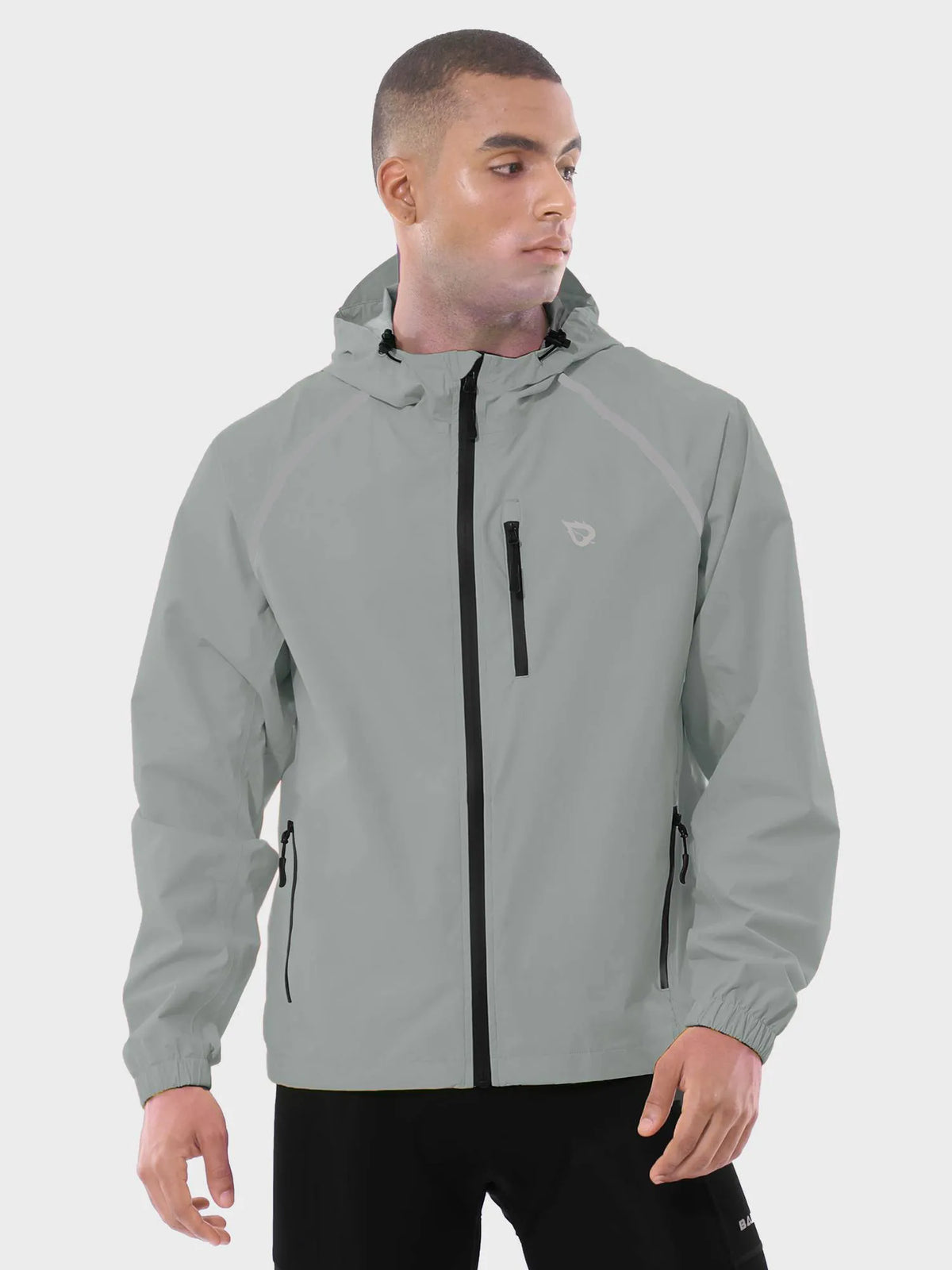 Light Gray